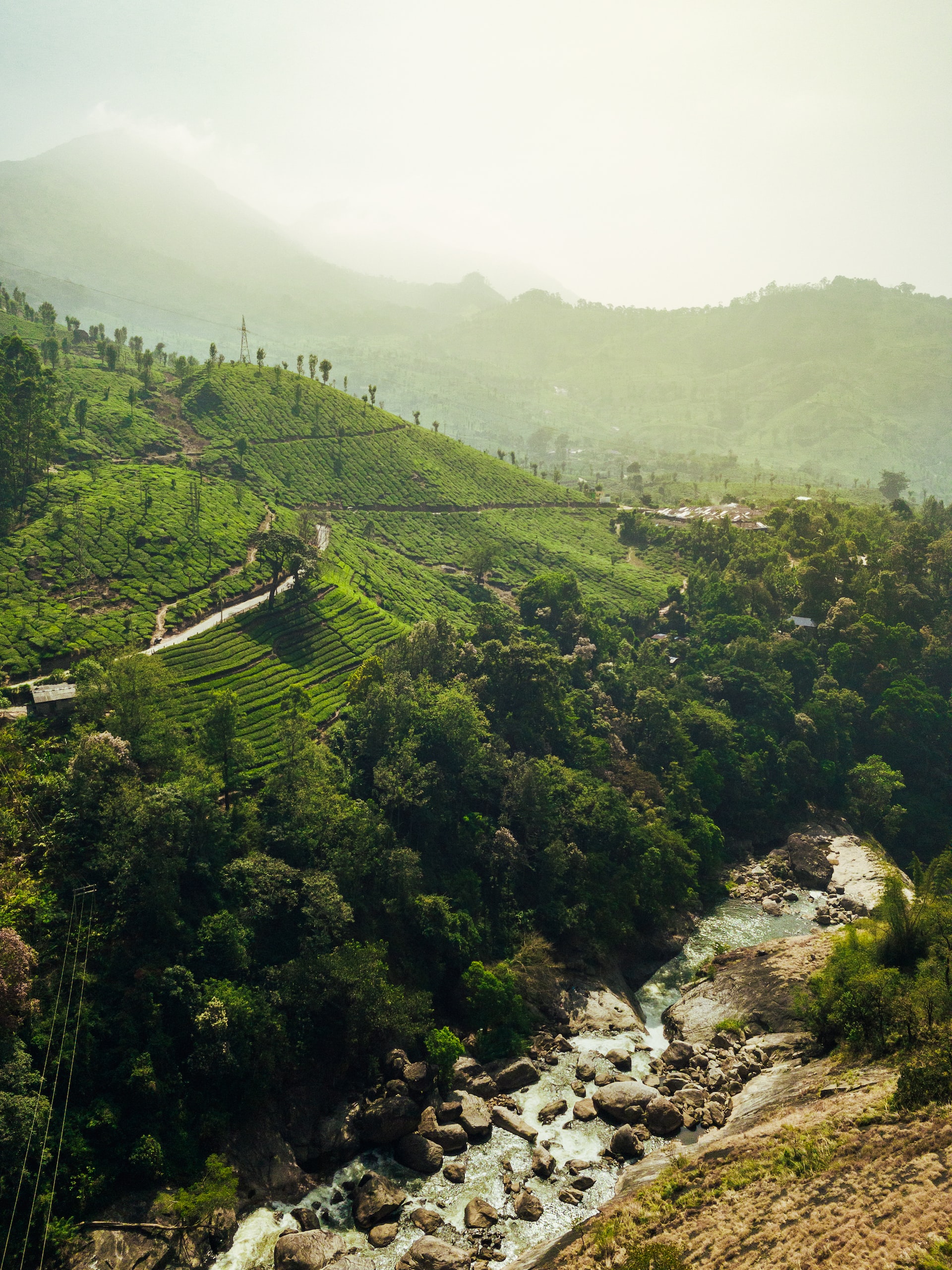manali1